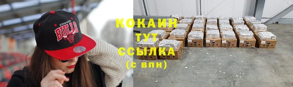 дживик Баксан
