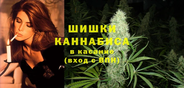 дживик Баксан