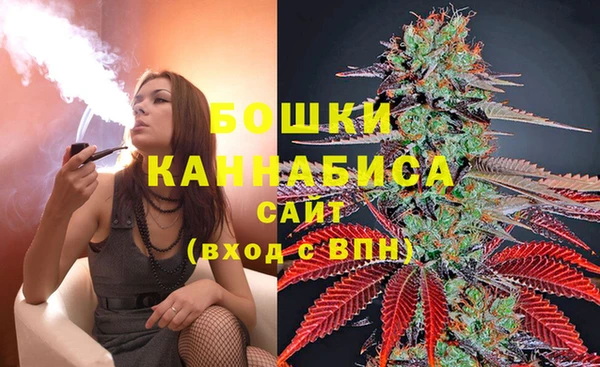 дживик Баксан