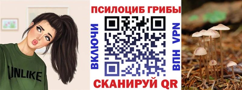 Псилоцибиновые грибы Psilocybine cubensis Армавир